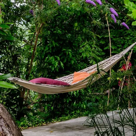 Affittacamere La Casa Nel Bosco-camera Con Giardino Vicino Lerici Trebiano