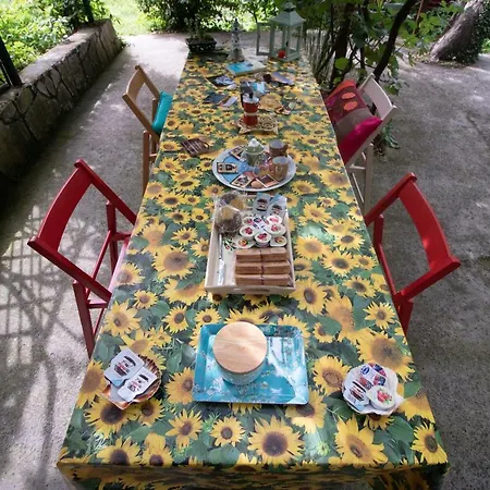 La Casa Nel Bosco-camera Con Giardino Vicino Lerici Affittacamere Trebiano