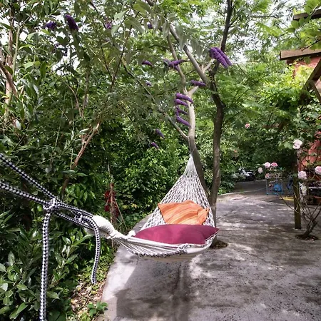 La Casa Nel Bosco-camera Con Giardino Vicino Lerici Affittacamere *