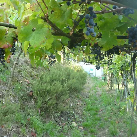La Casa Nel Bosco-camera Con Giardino Vicino Lerici Trebiano