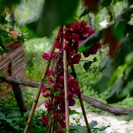 La Casa Nel Bosco-camera Con Giardino Vicino Lerici * Trebiano