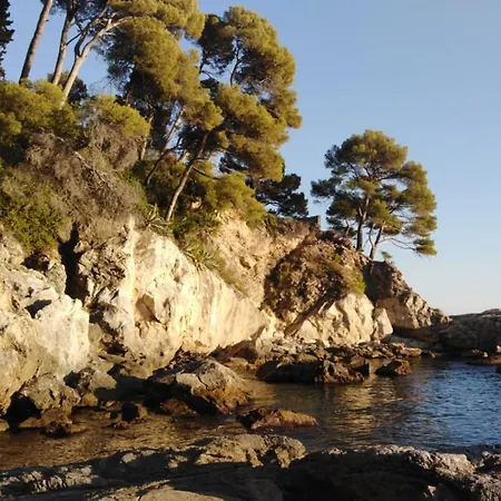 La Casa Nel Bosco-camera Con Giardino Vicino Lerici